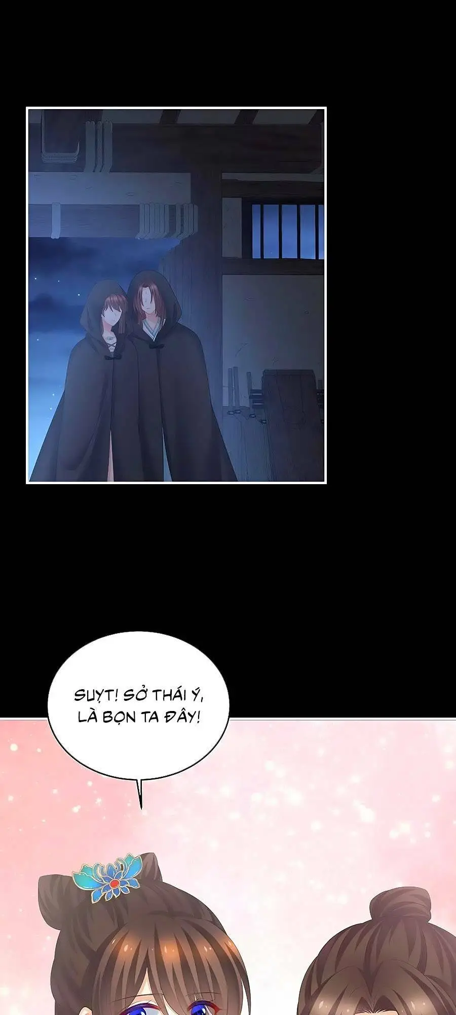 Chapter 278