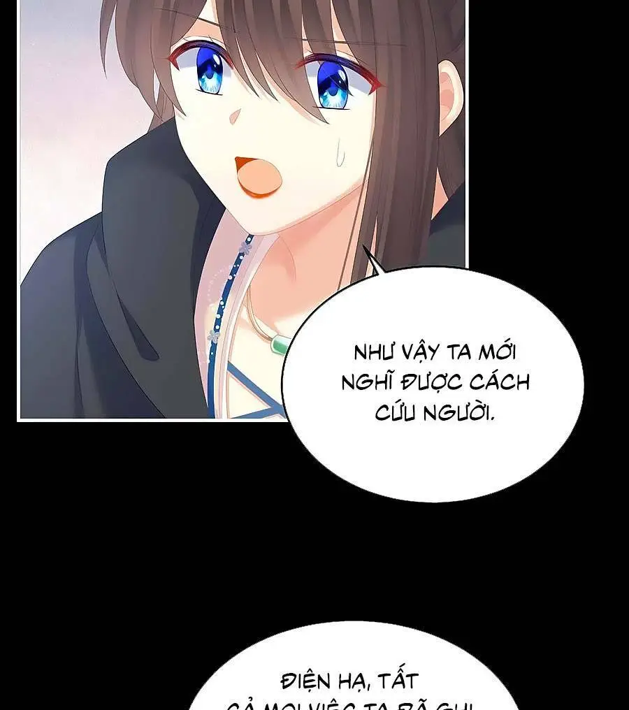 Chapter 278