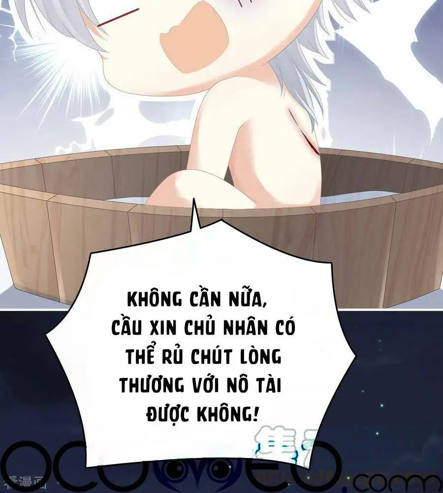 Chapter 272