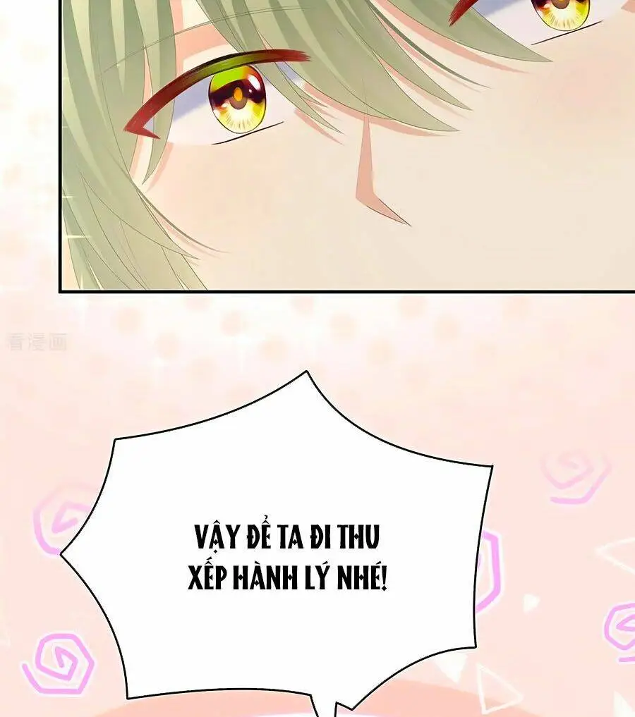 Chapter 264