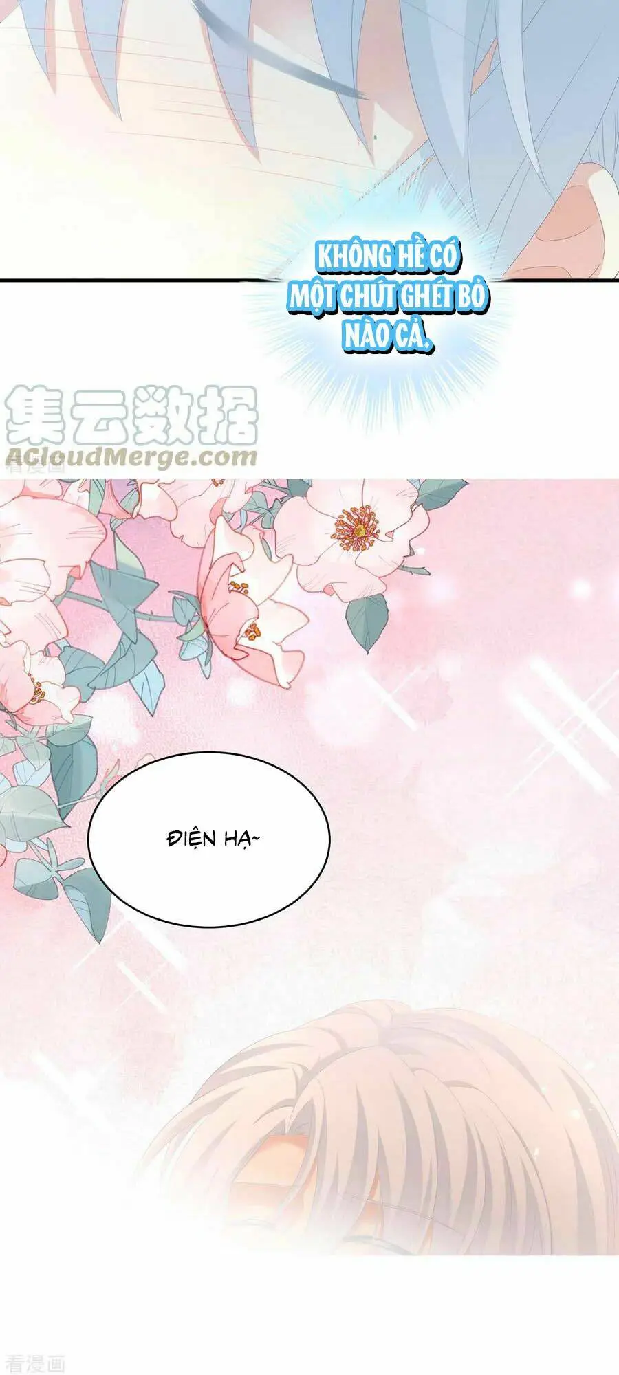 Chapter 255