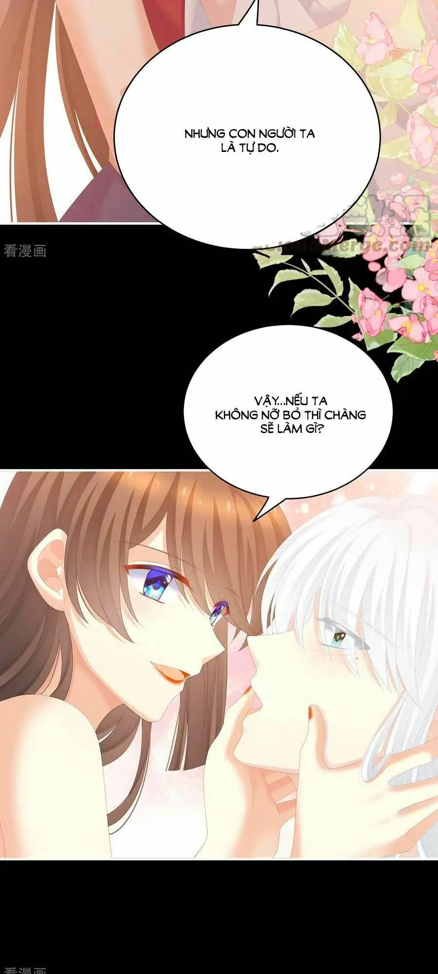 Chapter 245