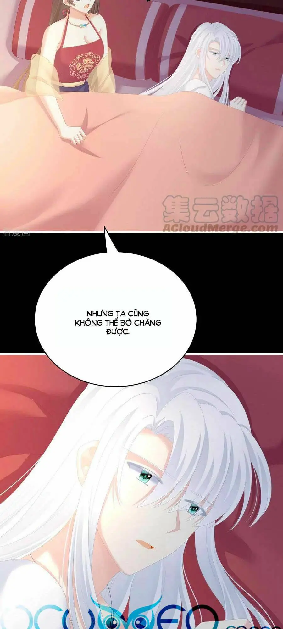 Chapter 245