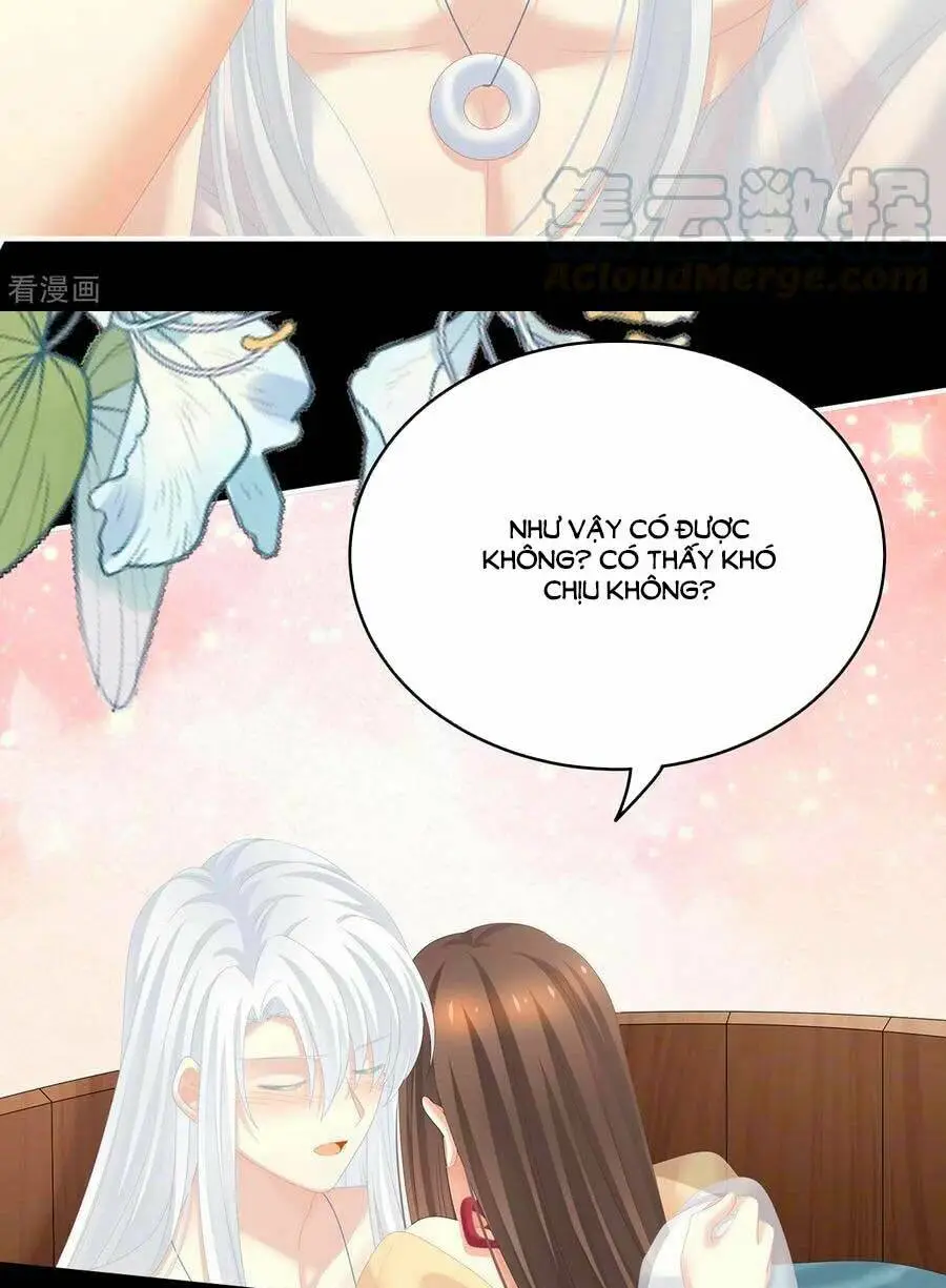 Chapter 242