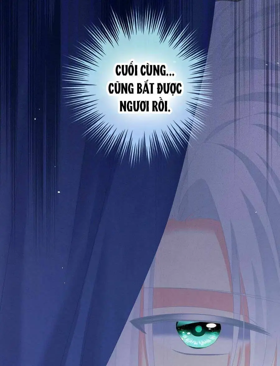 Chapter 238