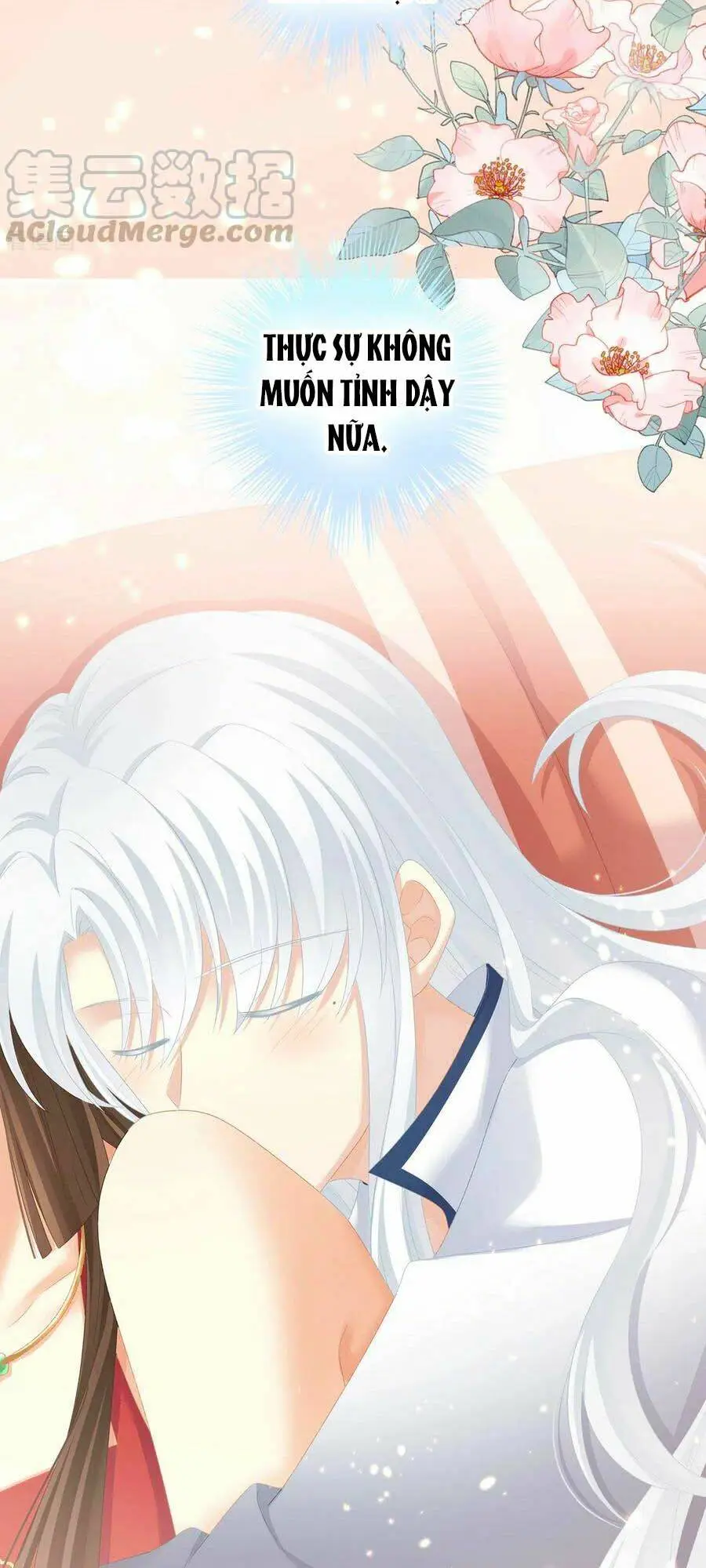 Chapter 236