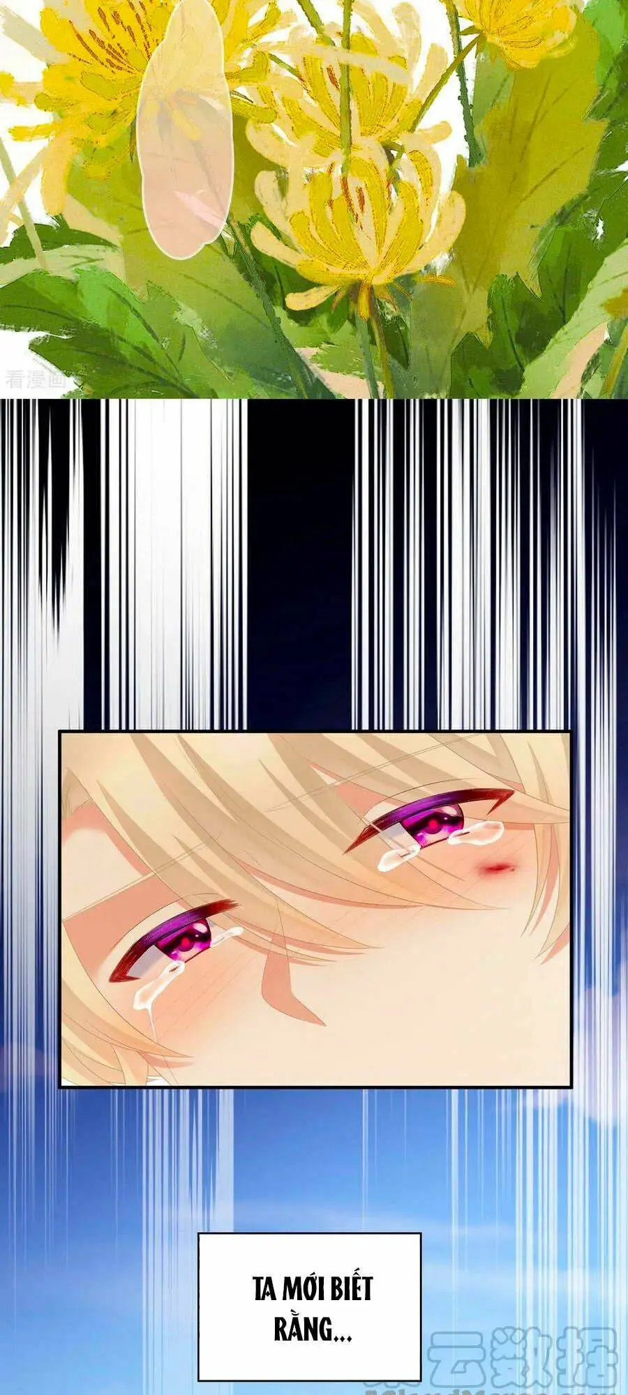 Chapter 229
