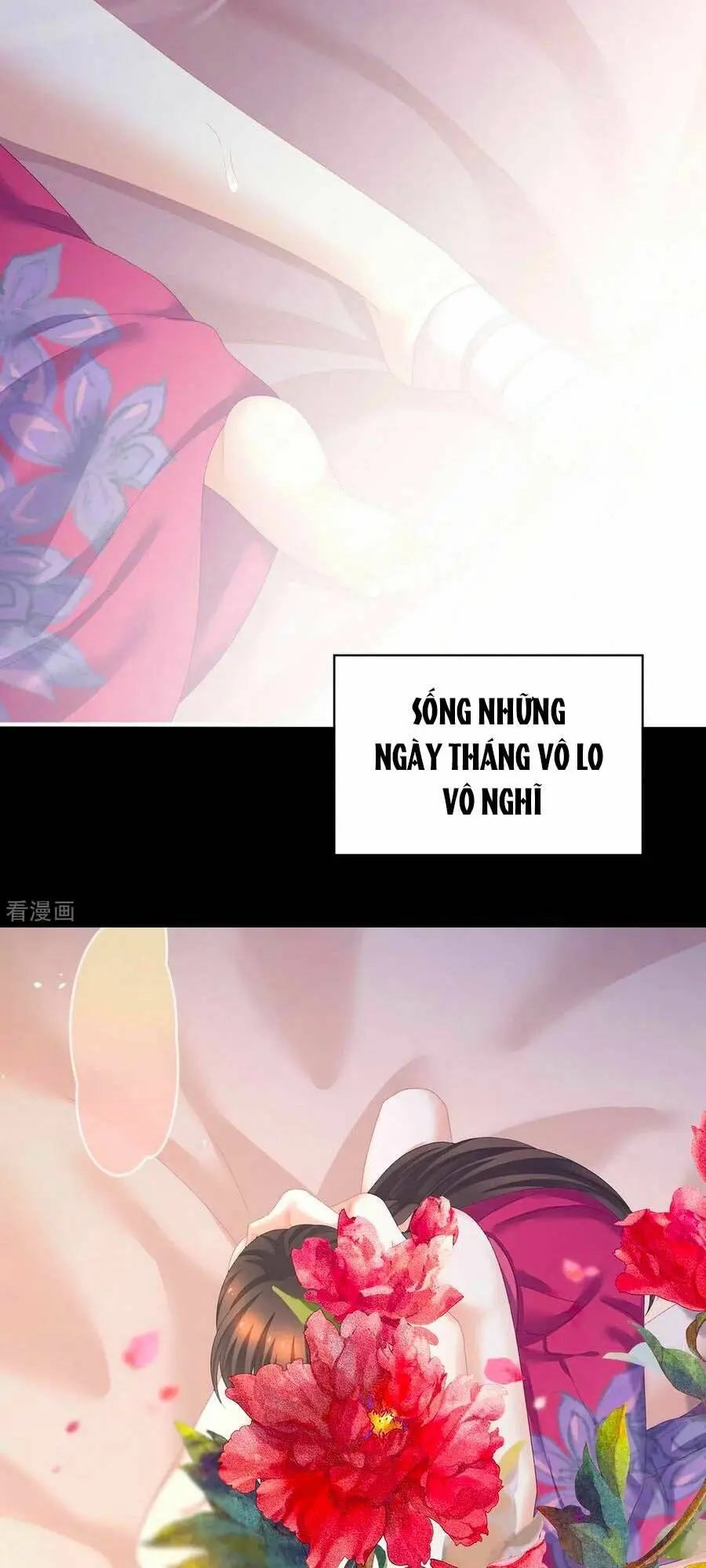 Chapter 229
