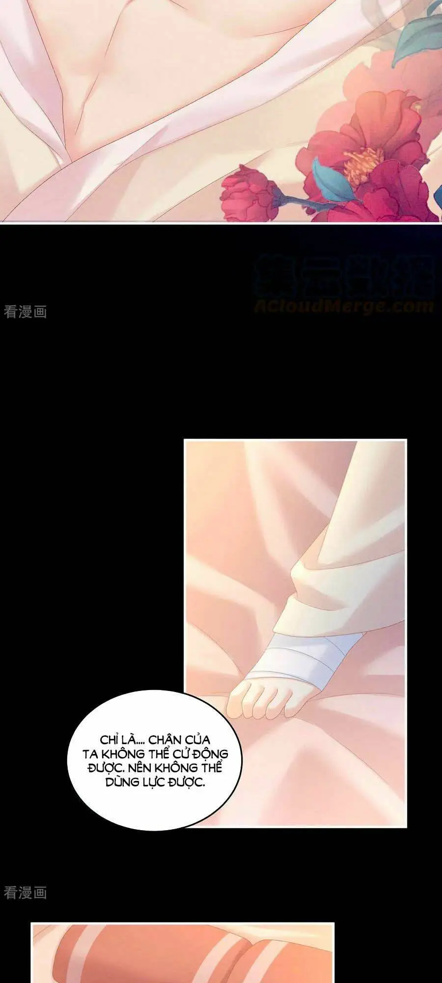 Chapter 228