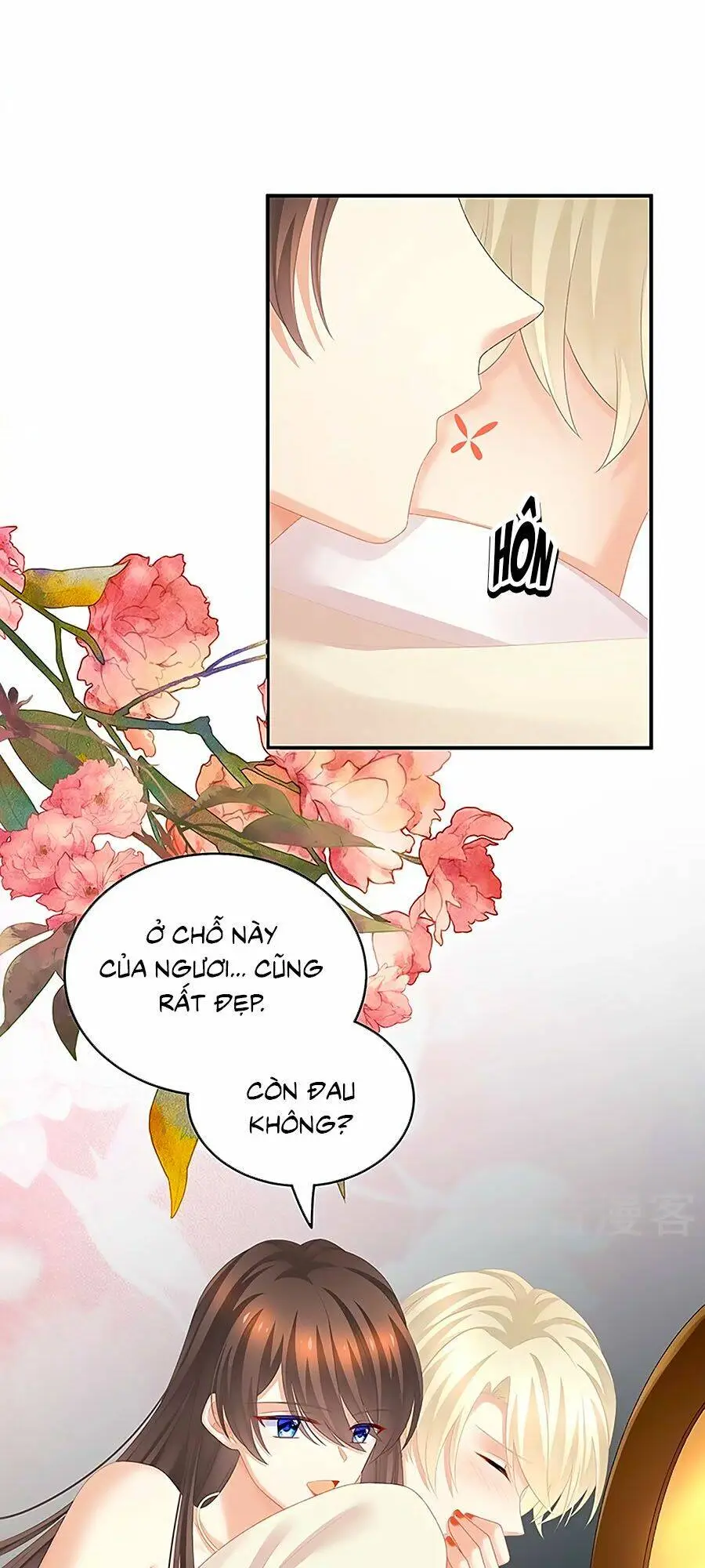 Chapter 224