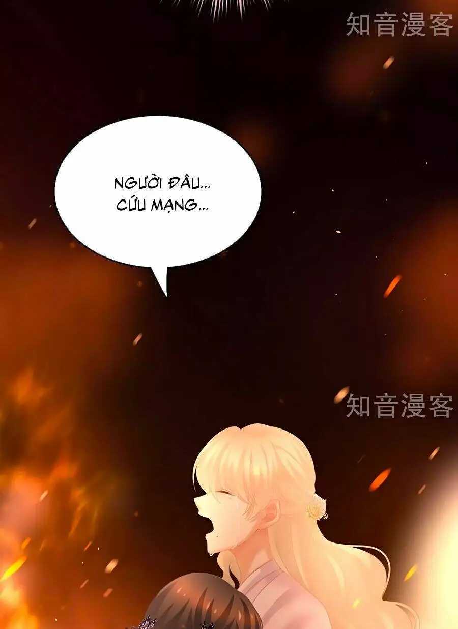 Chapter 223