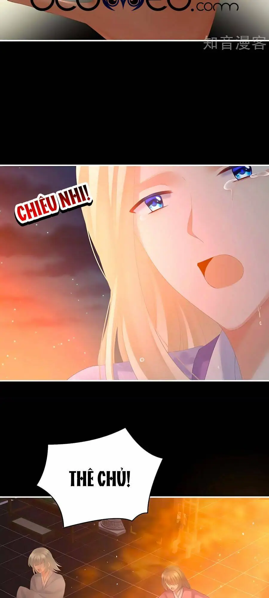 Chapter 222
