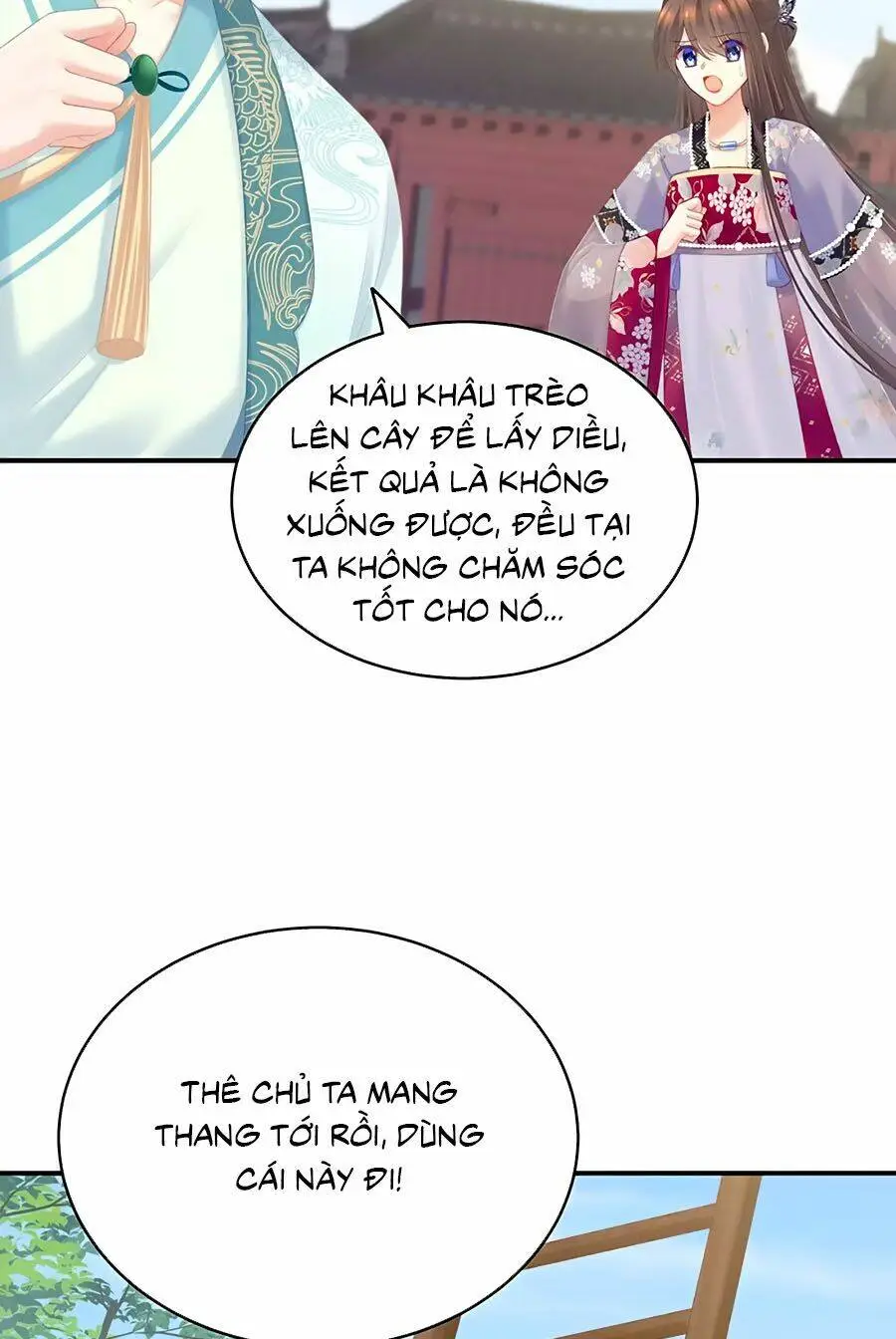 Chapter 217