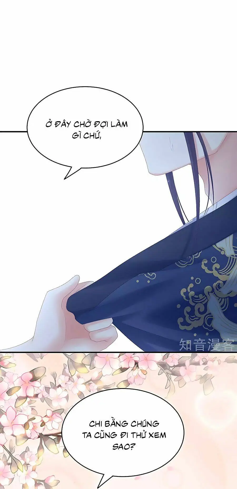 Chapter 216
