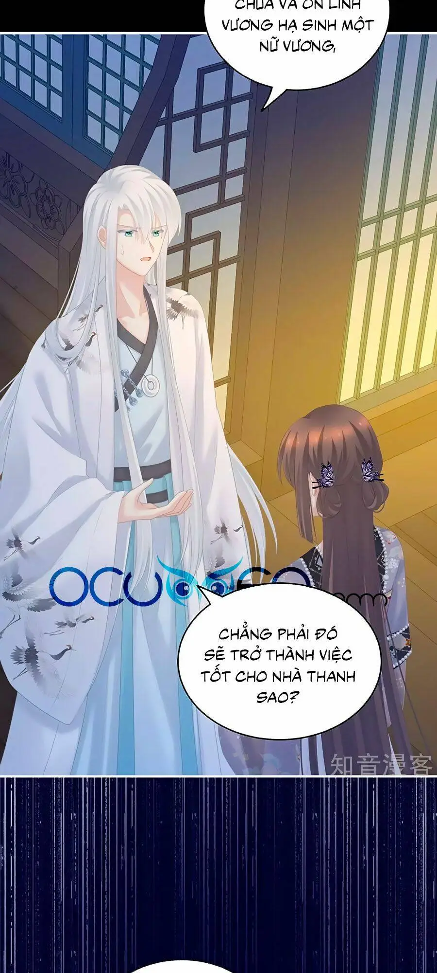 Chapter 213