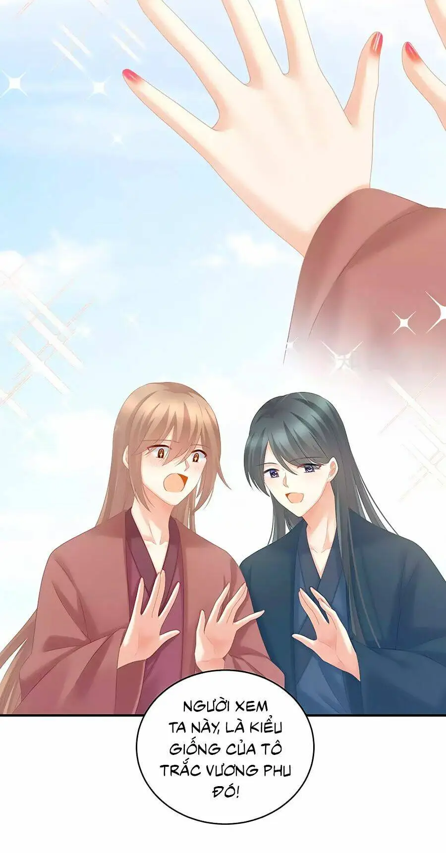 Chapter 213