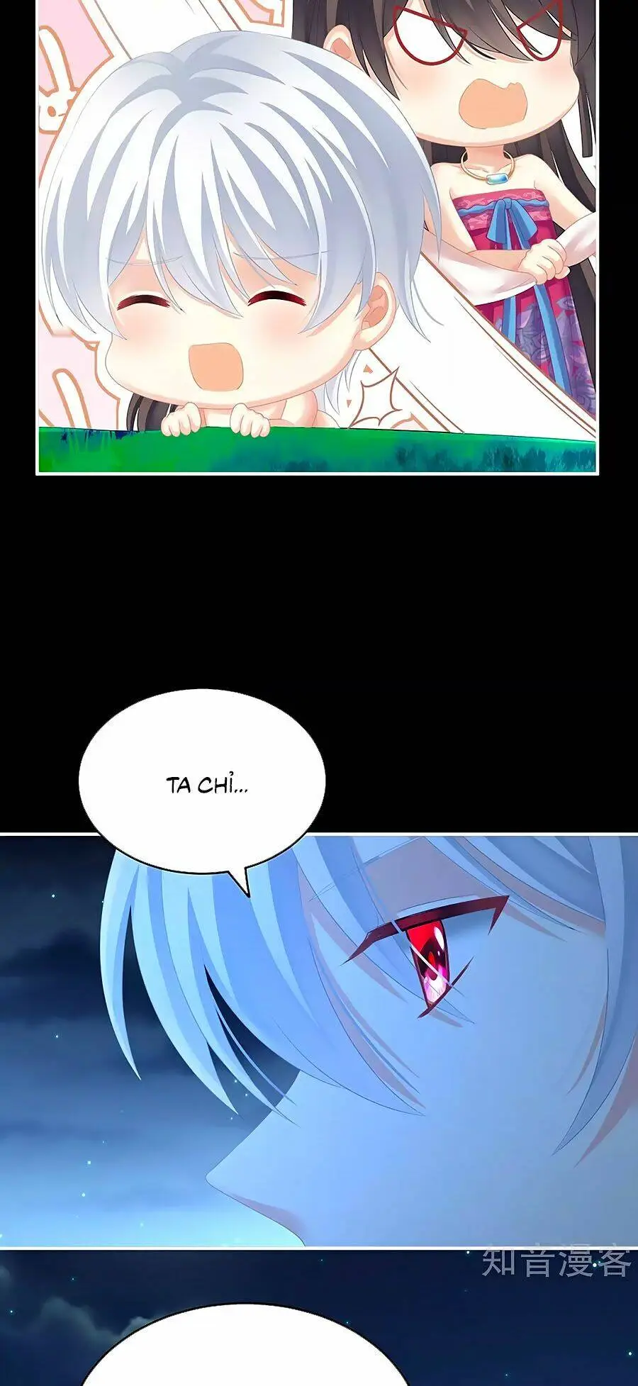 Chapter 206