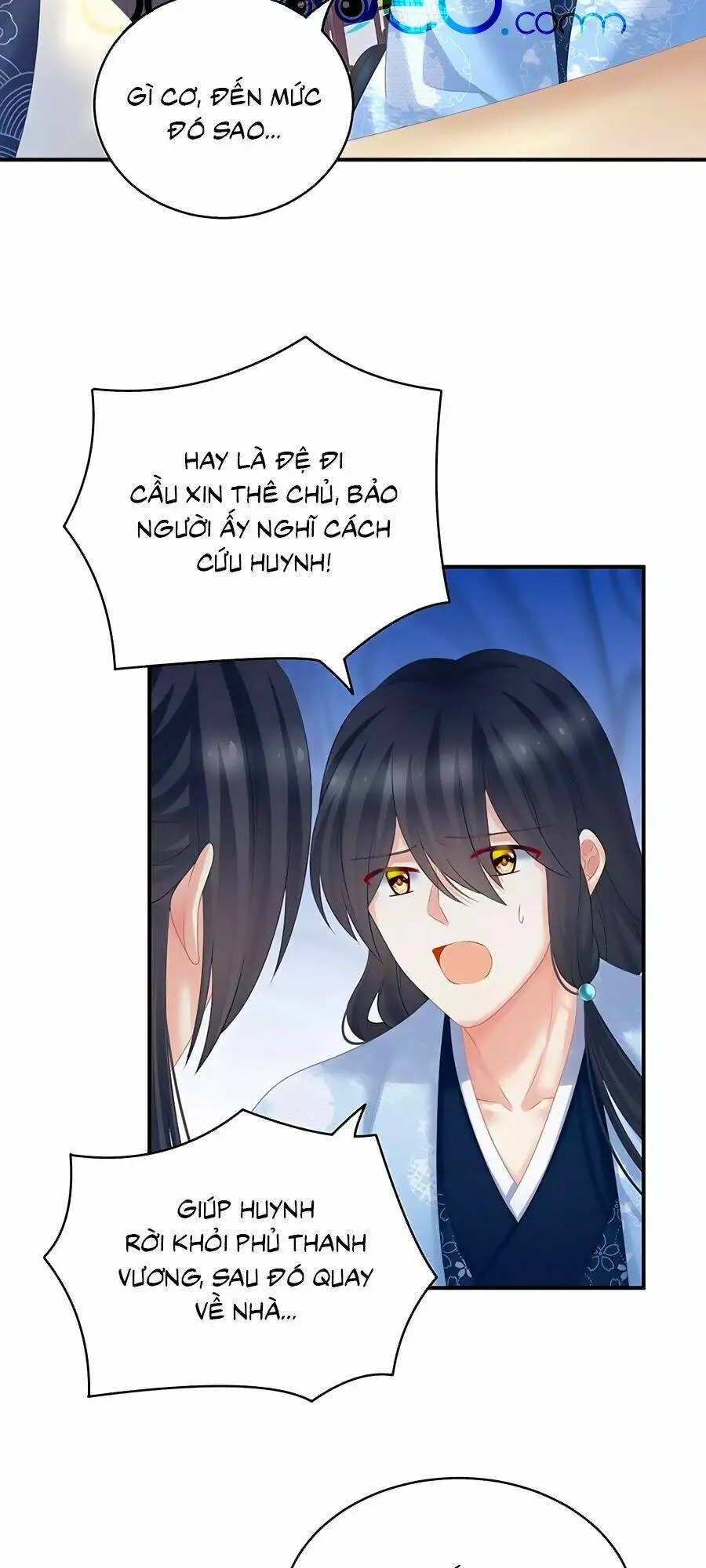 Chapter 205