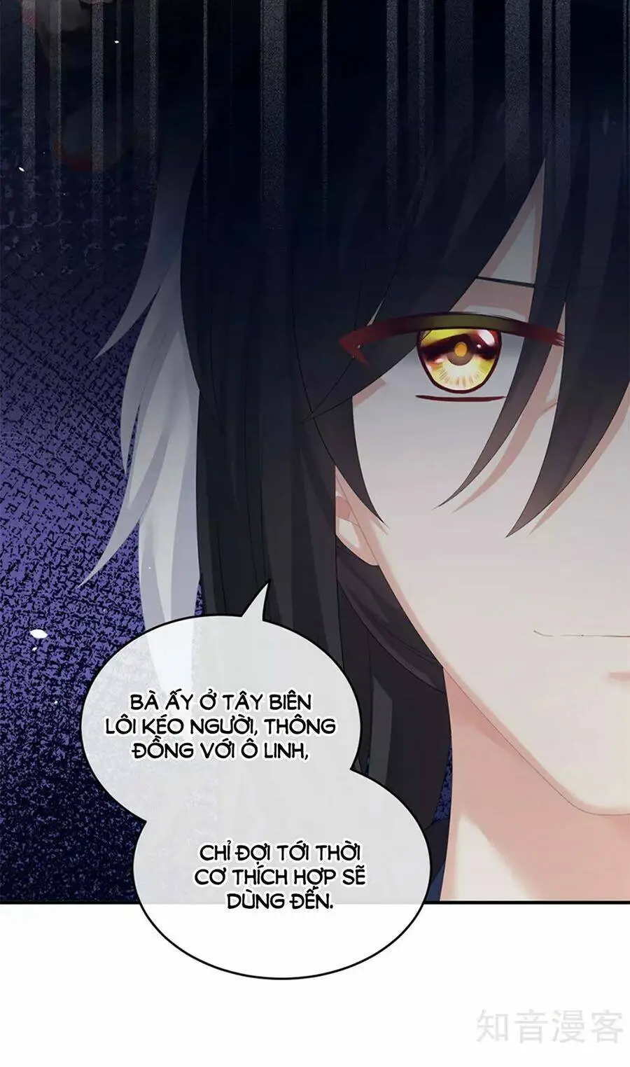 Chapter 172