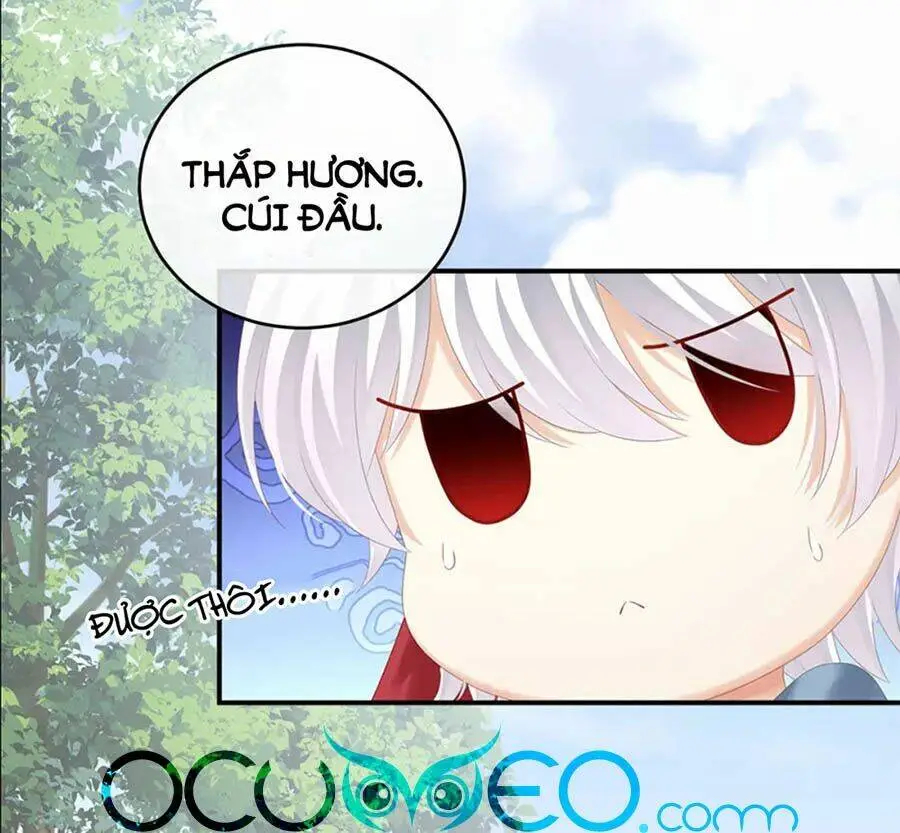 Chapter 170