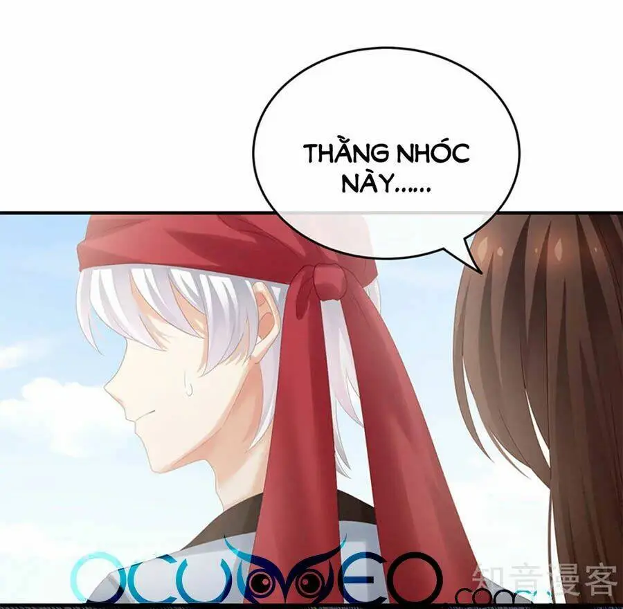 Chapter 166