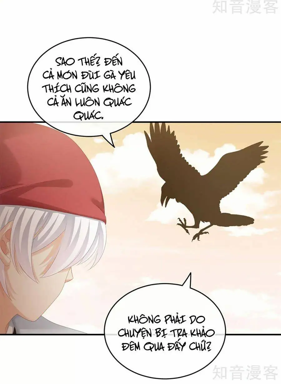 Chapter 165