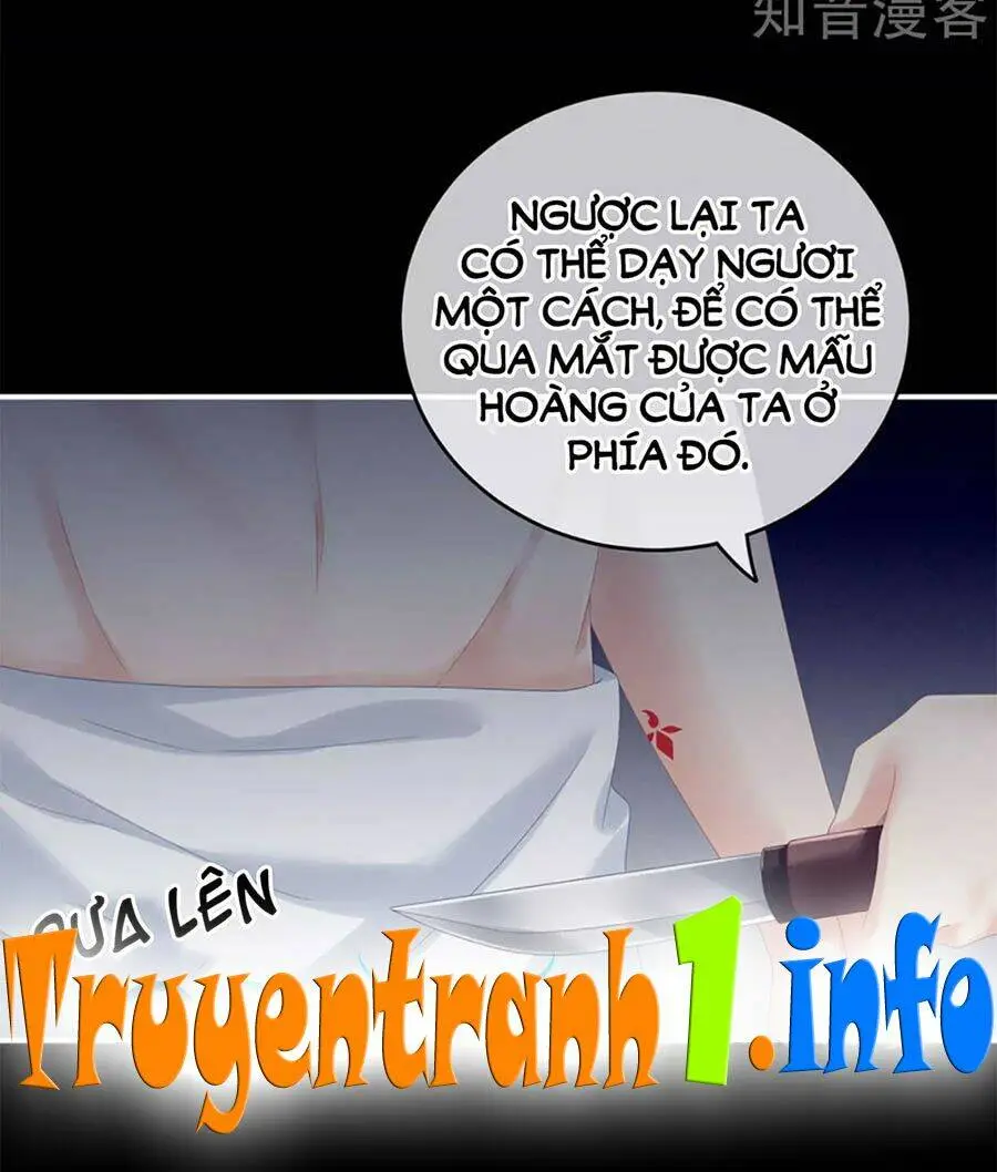 Chapter 164