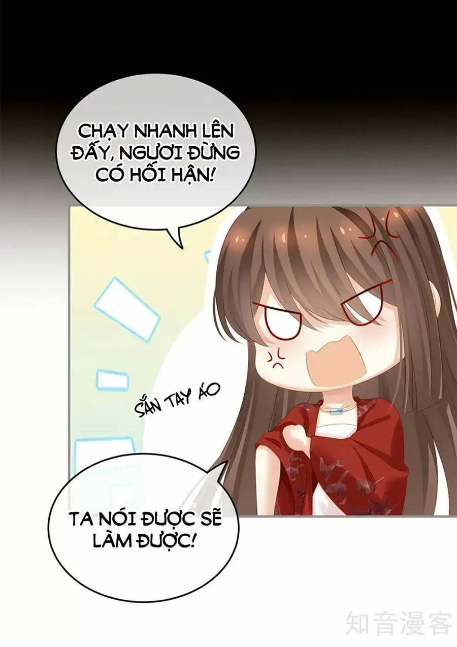 Chapter 164
