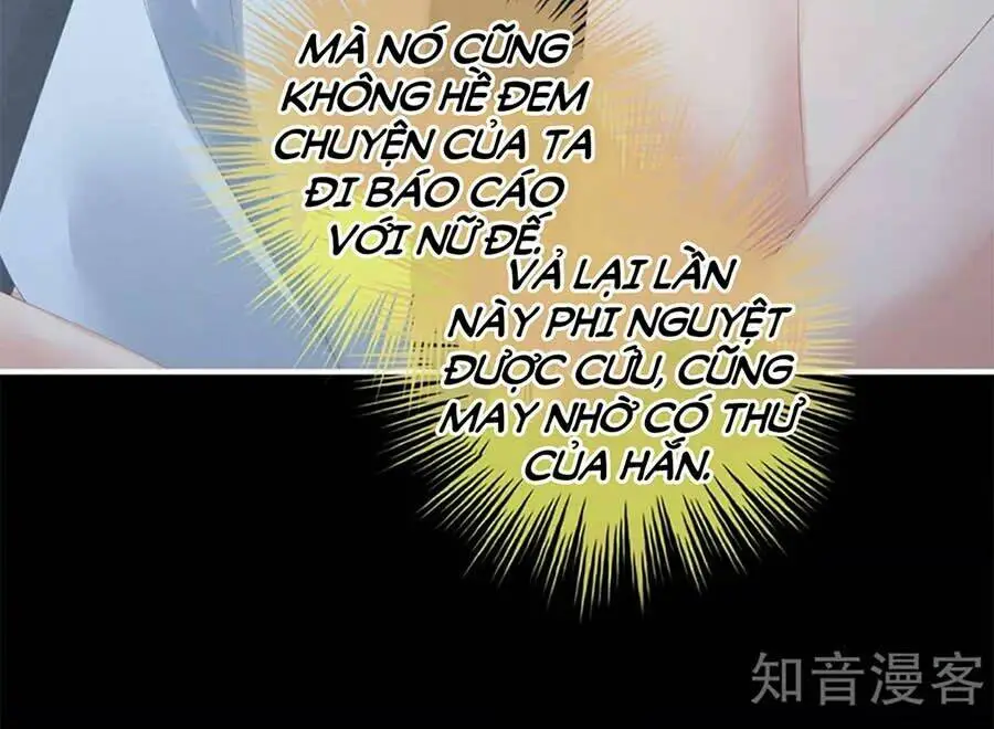 Chapter 163