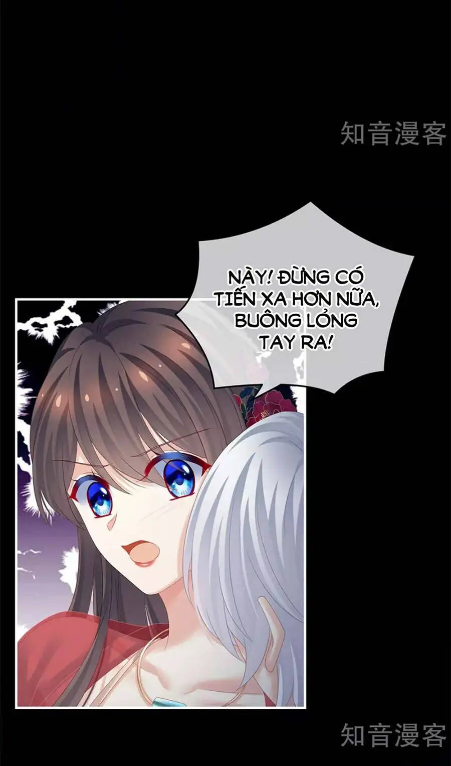 Chapter 163