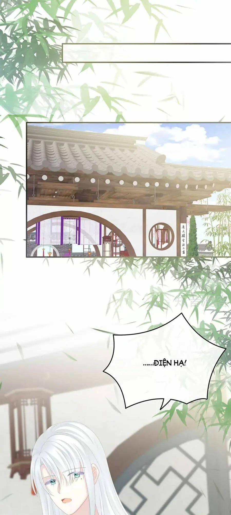 Chapter 158