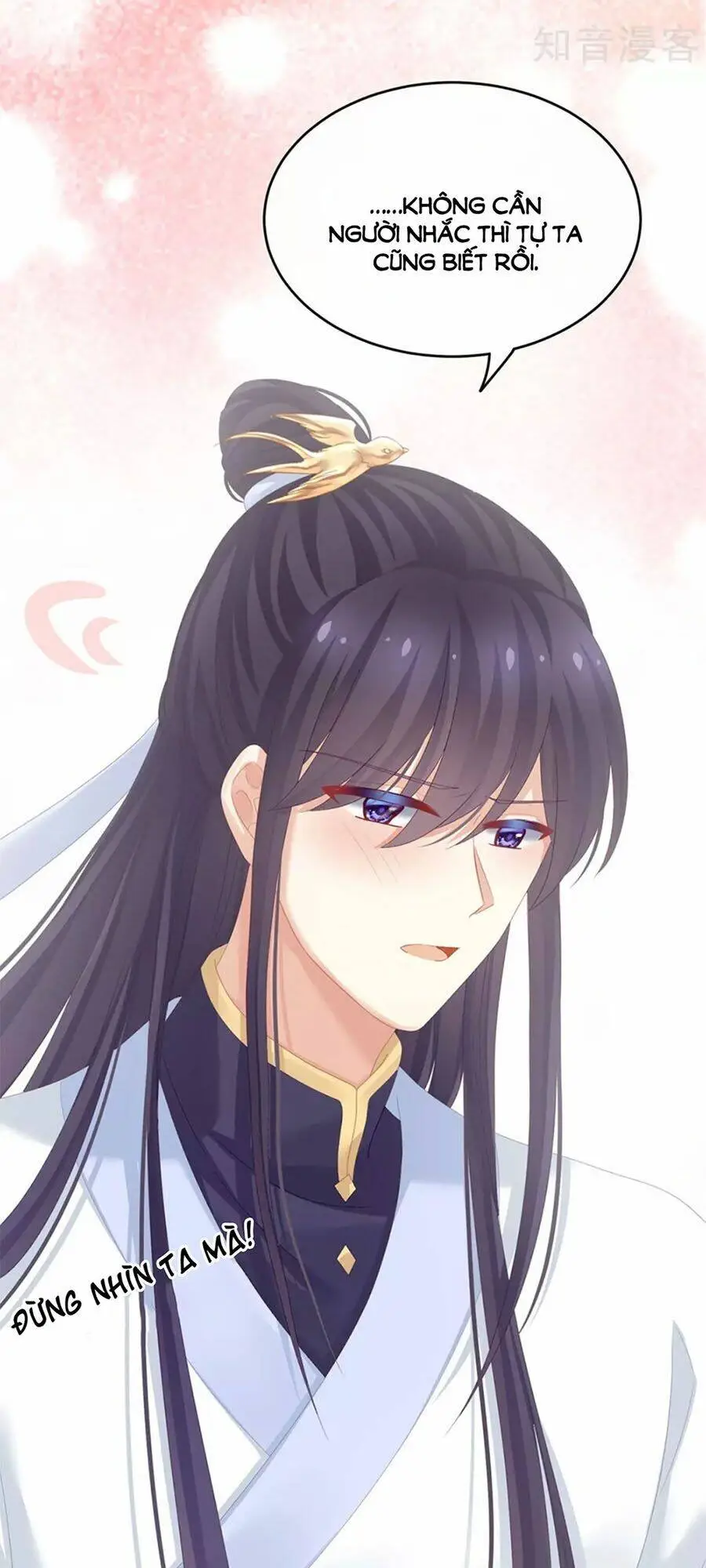Chapter 154