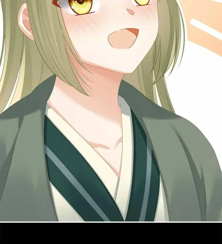 Chapter 148