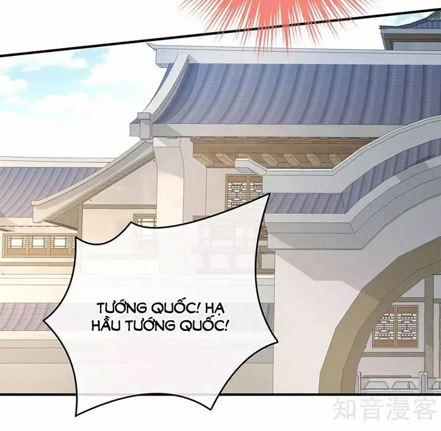 Chapter 146