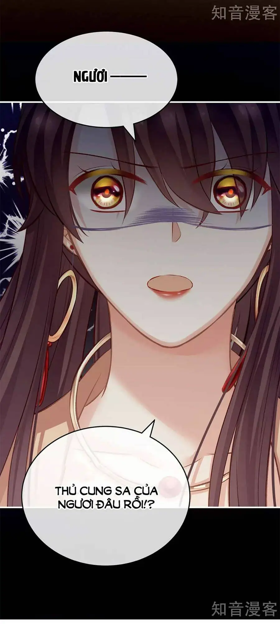 Chapter 146
