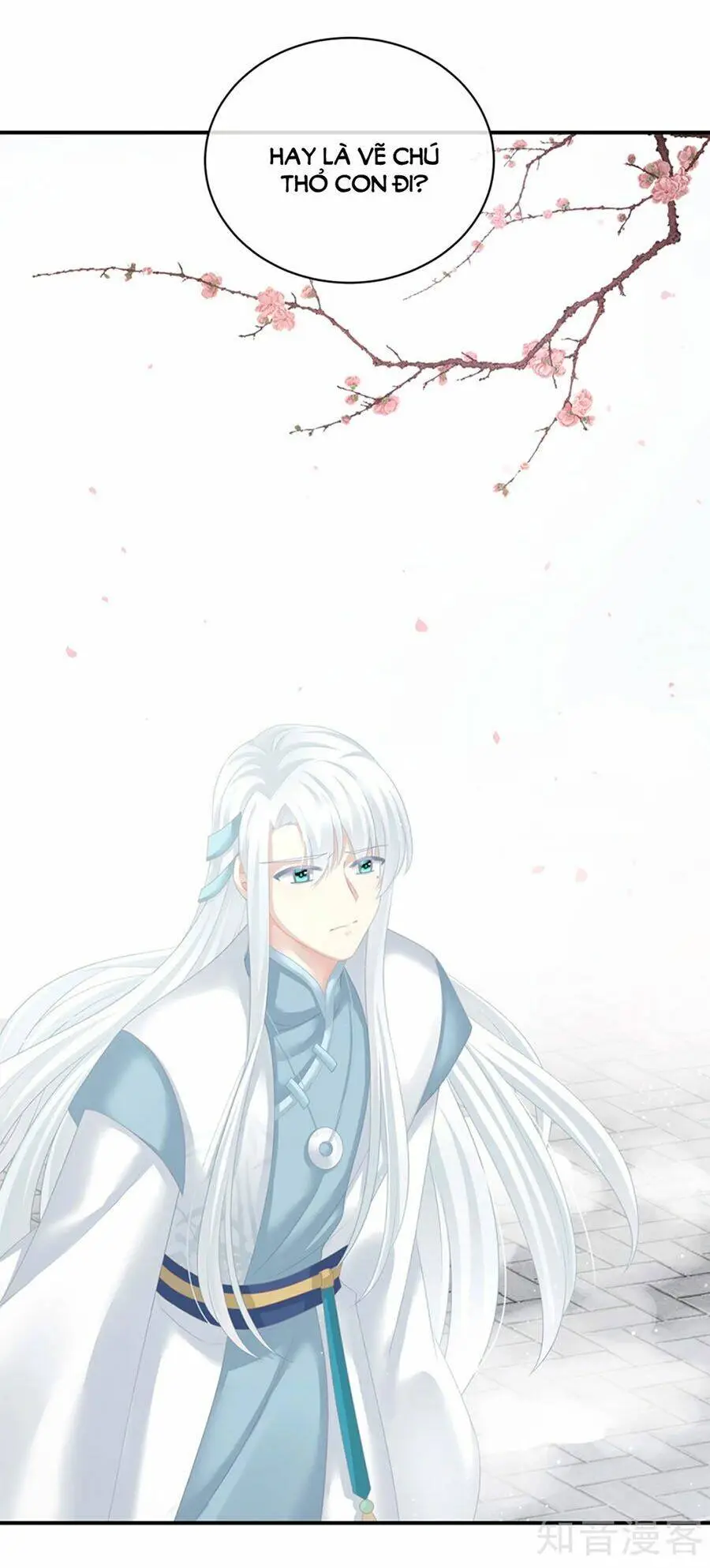 Chapter 126