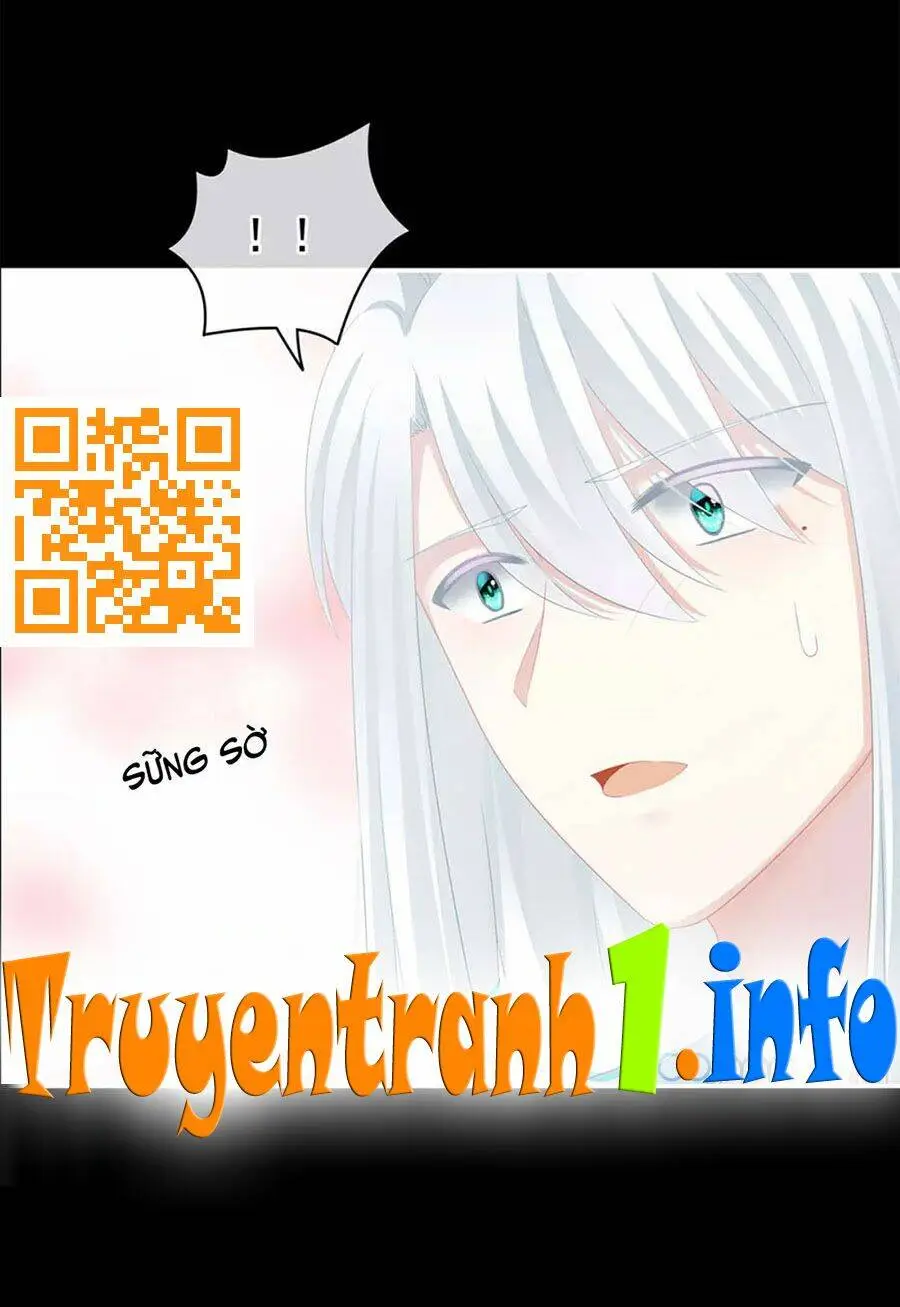 Chapter 119