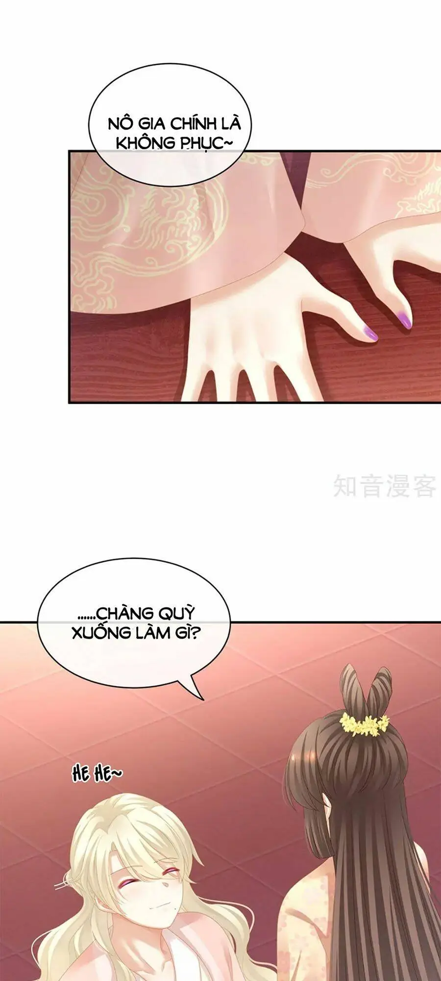 Chapter 117