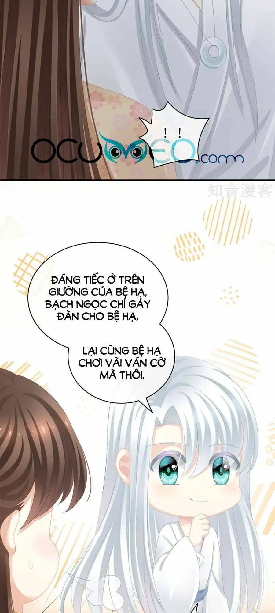 Chapter 113