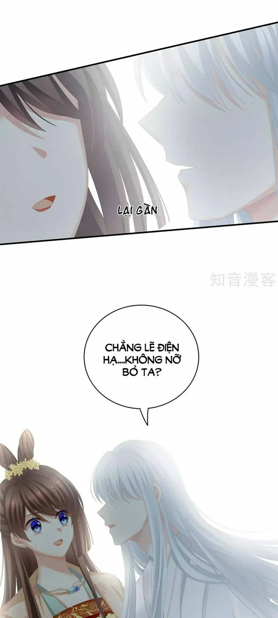 Chapter 113