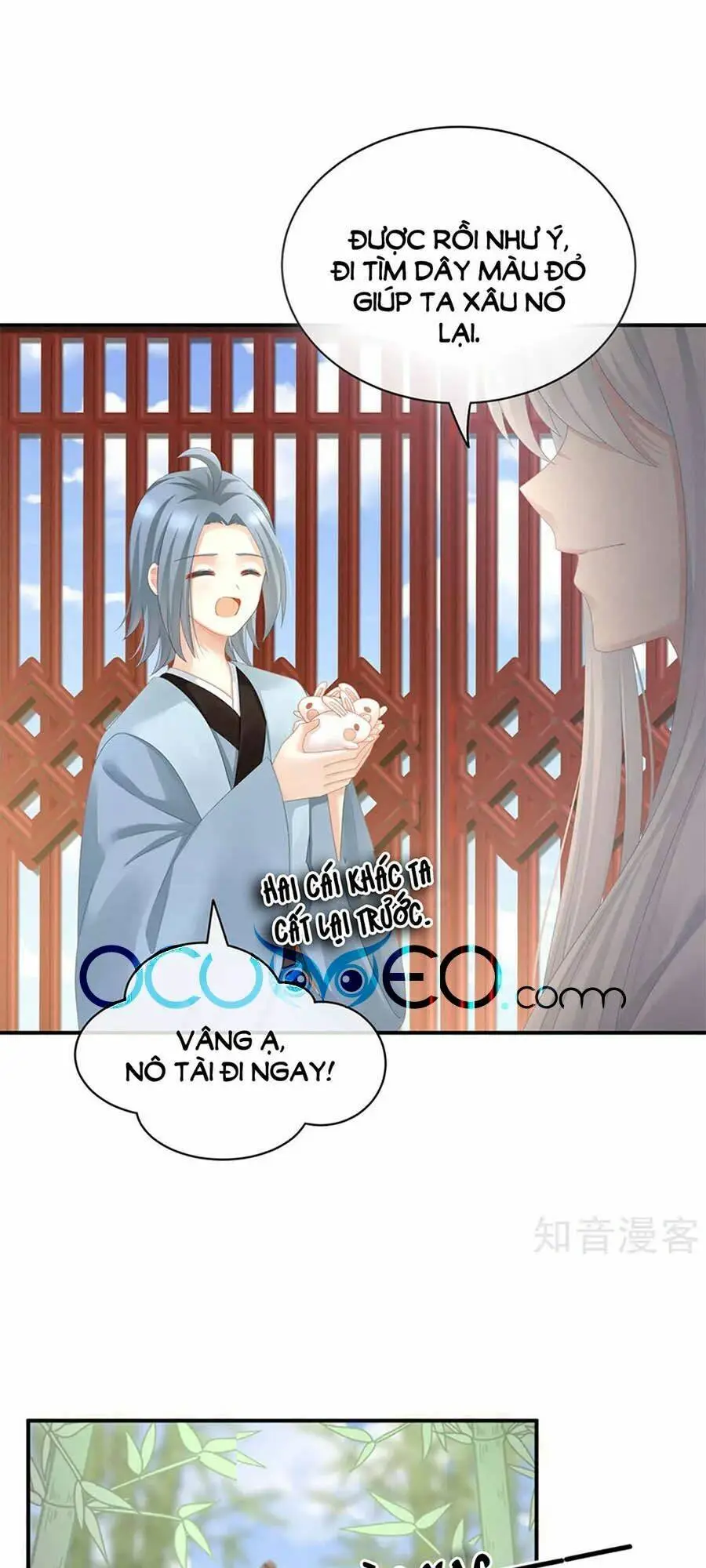Chapter 113