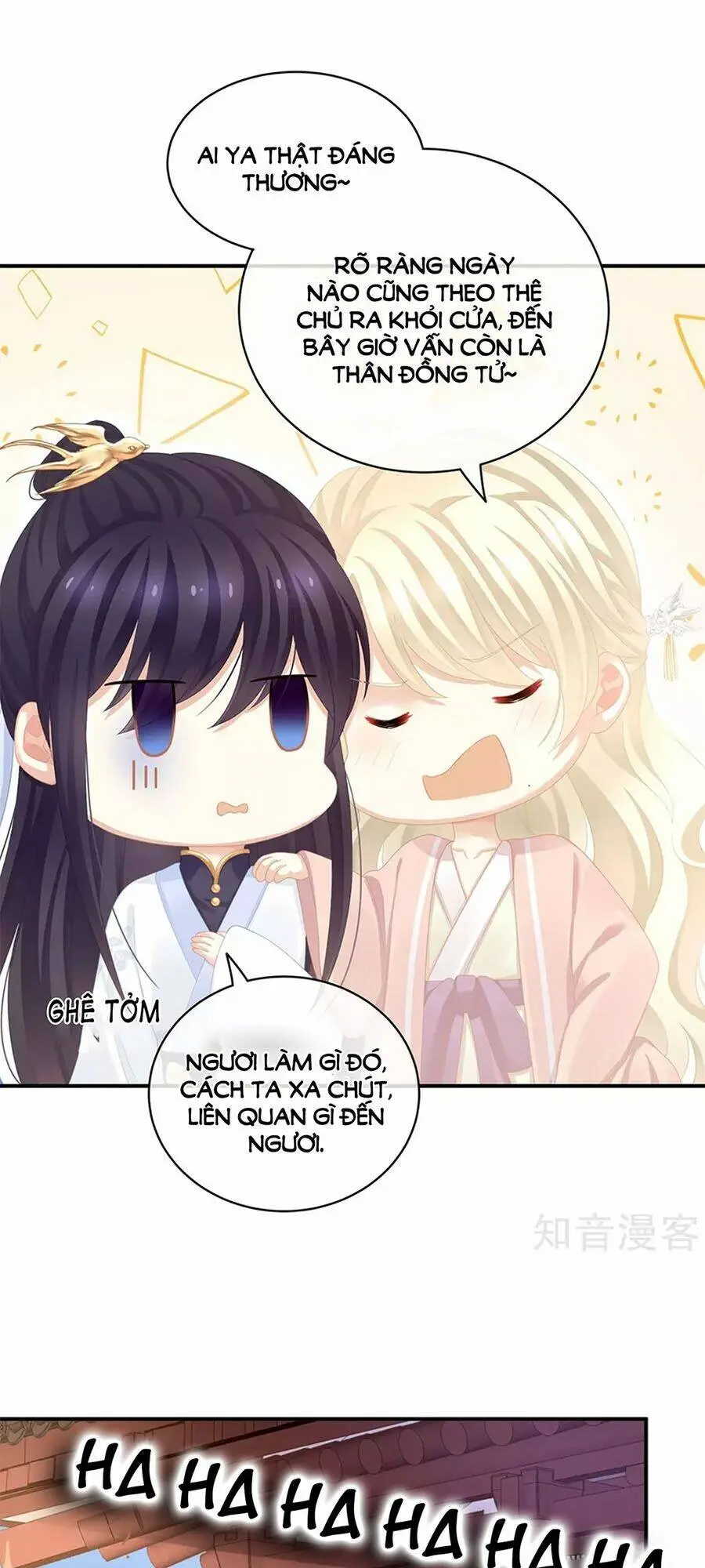 Chapter 111