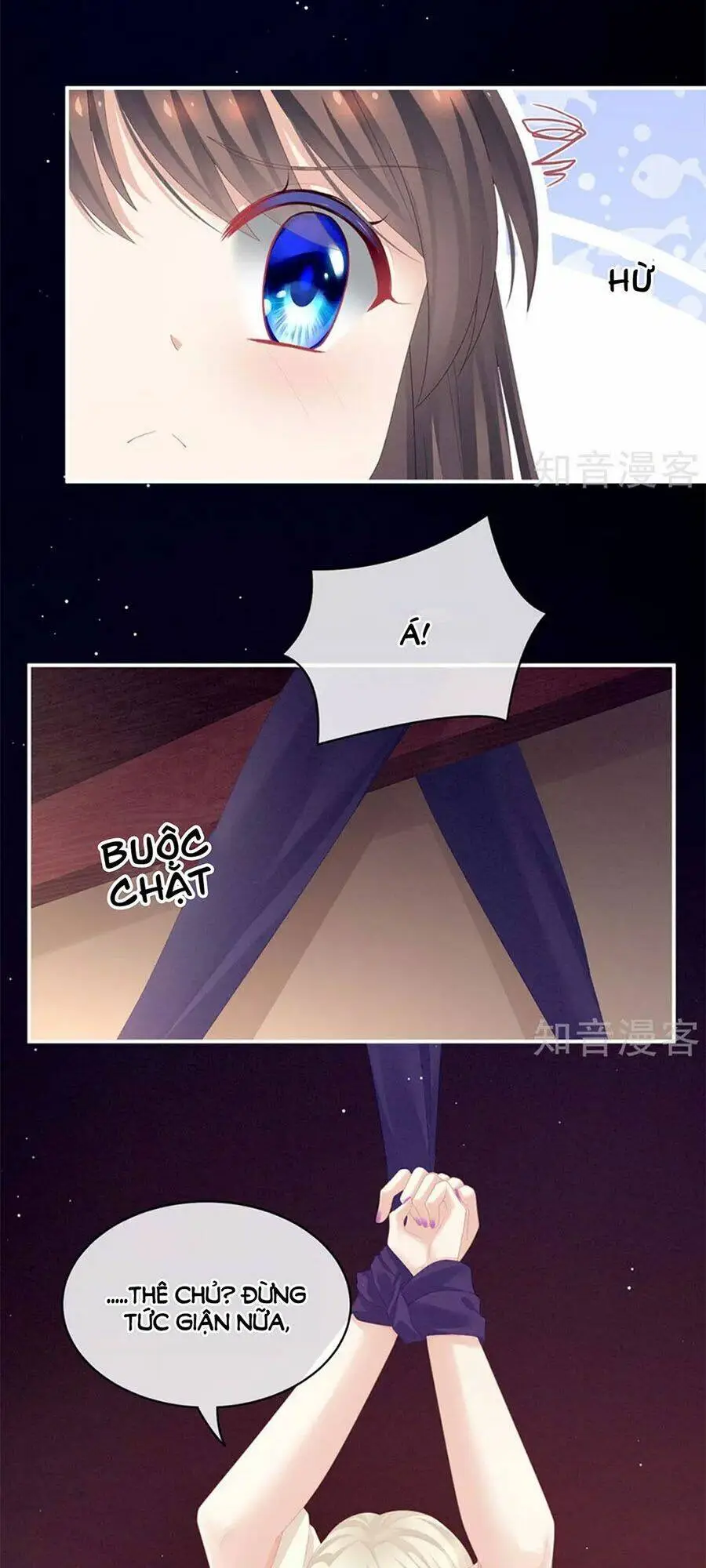 Chapter 108