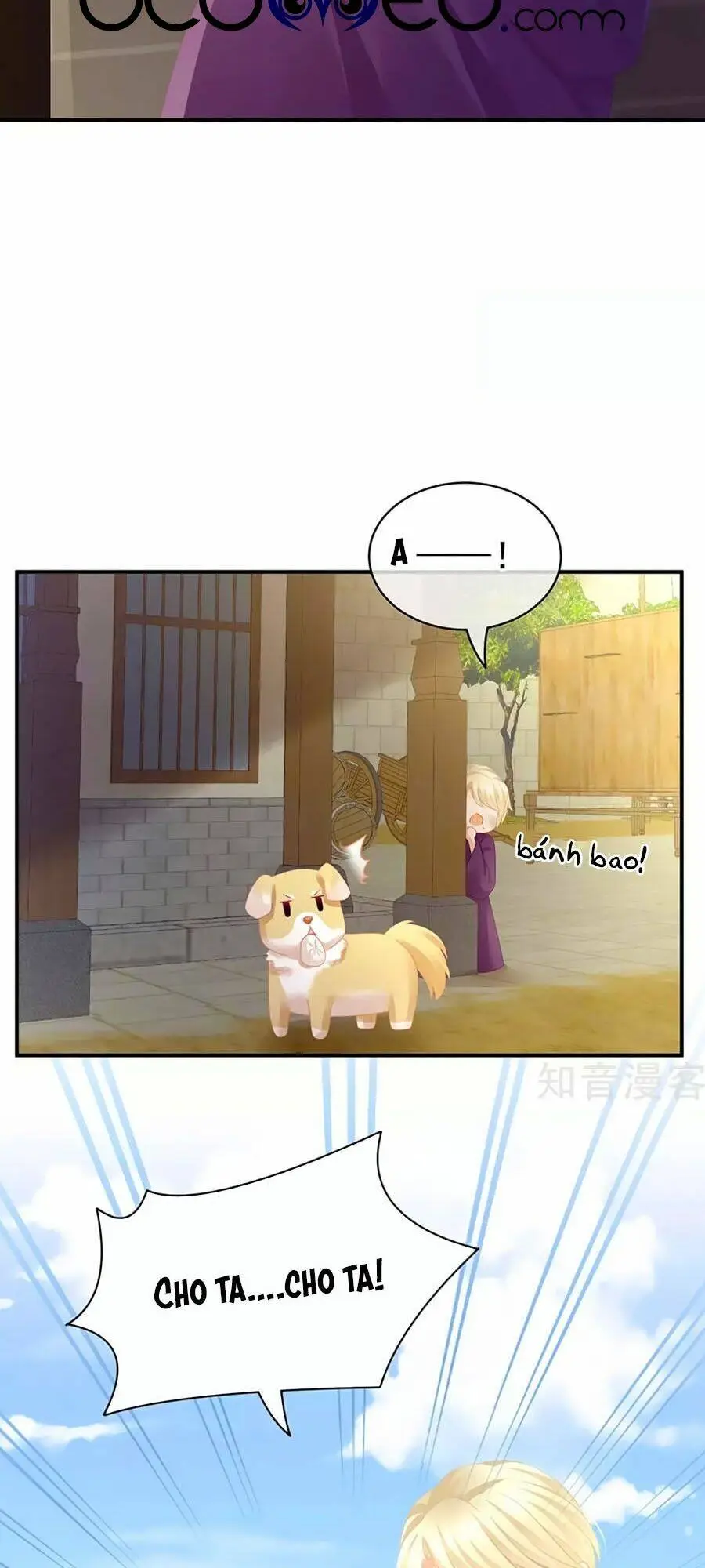 Chapter 104