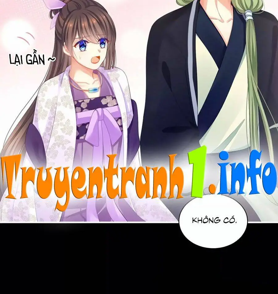 Chapter 104