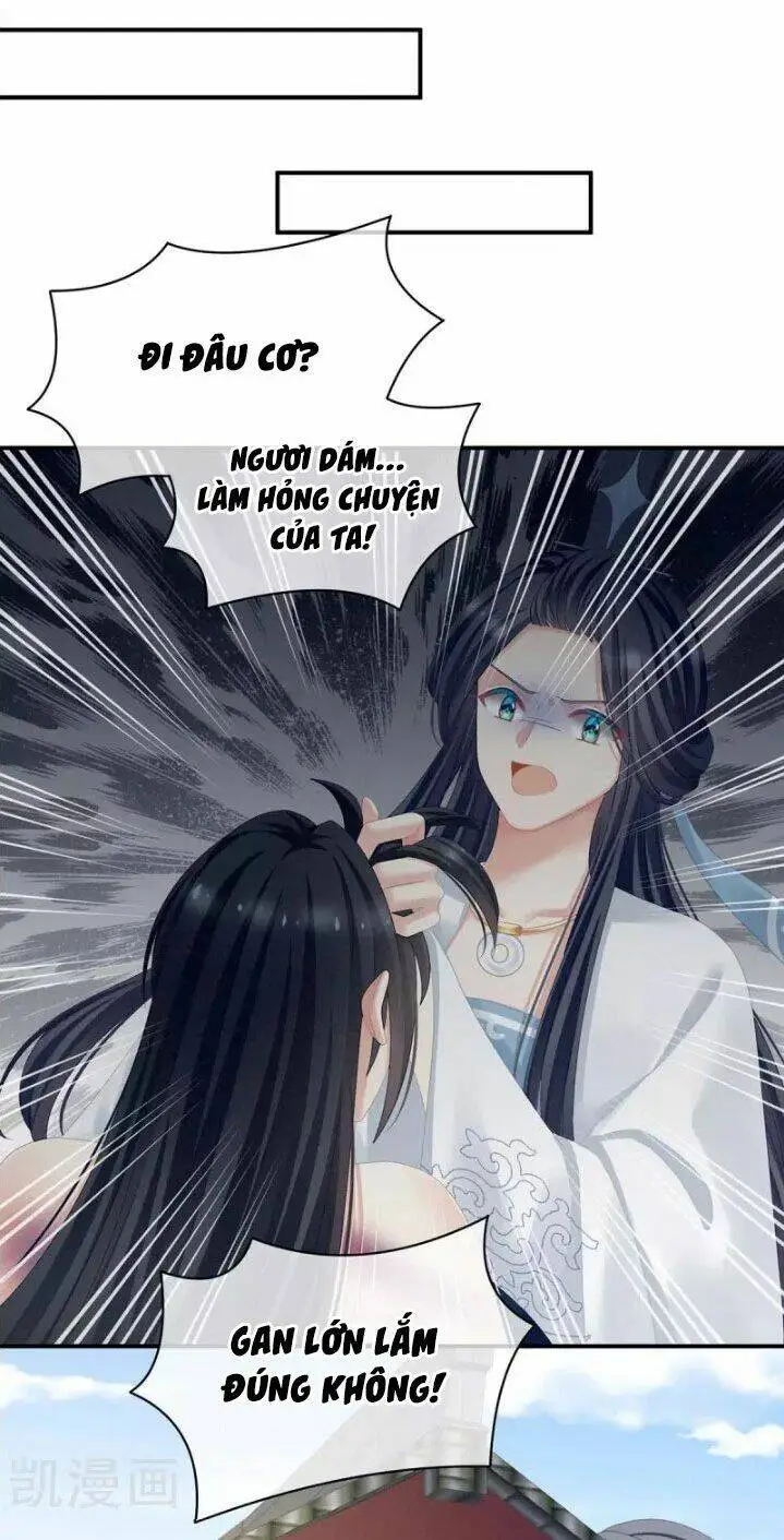 Chapter 101