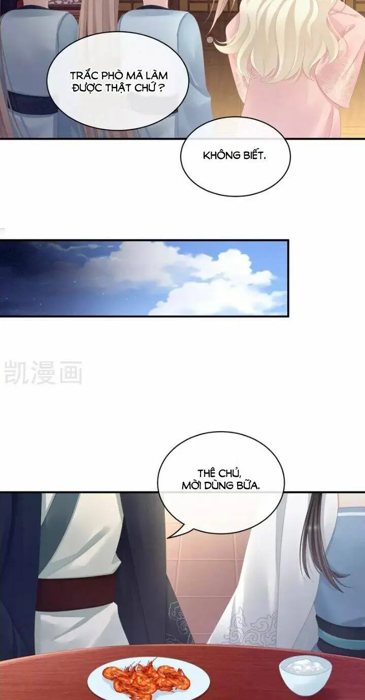 Chapter 100