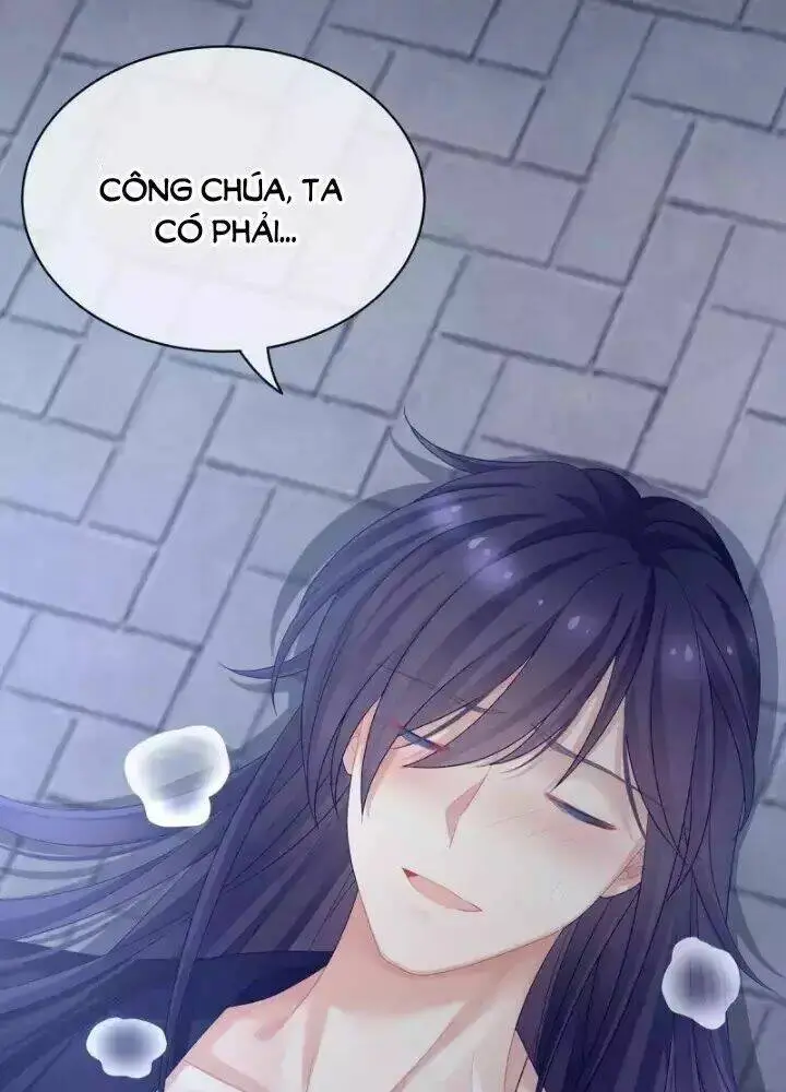 Chapter 95