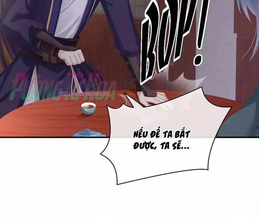 Chapter 91