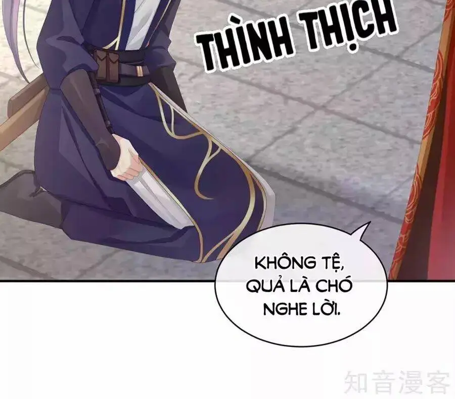 Chapter 84
